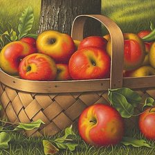 Схема вышивки «ЯБЛОЧКИ»