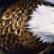 Предпросмотр схемы вышивки «Небесный хищник.» (№1938321)