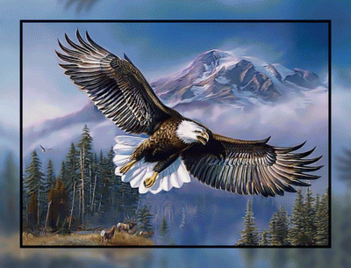 Небесный хищник. - небо., орел, полет - предпросмотр