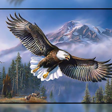 Схема вышивки «Небесный хищник.»