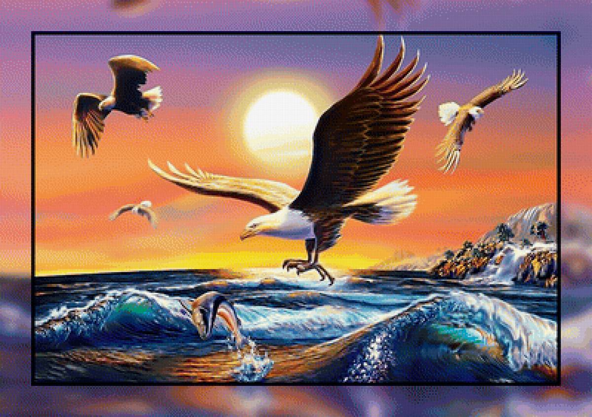 Орлы над морем. - море, орлы, пейзаж. - предпросмотр