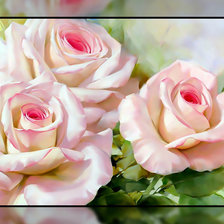 Схема вышивки «Розы.»