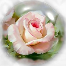 Схема вышивки «Роза.»