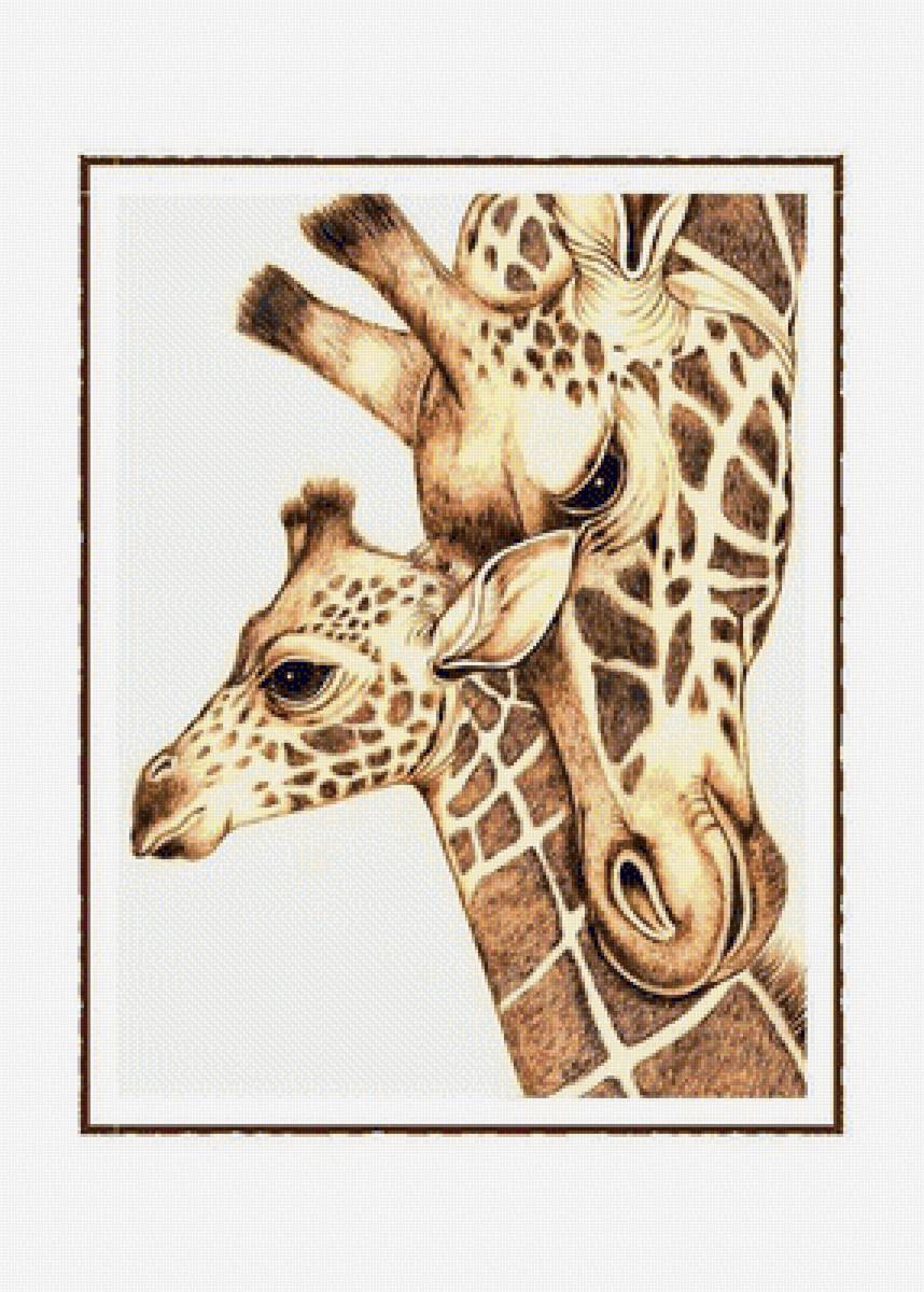 №1938447 - жирафы, животные - предпросмотр