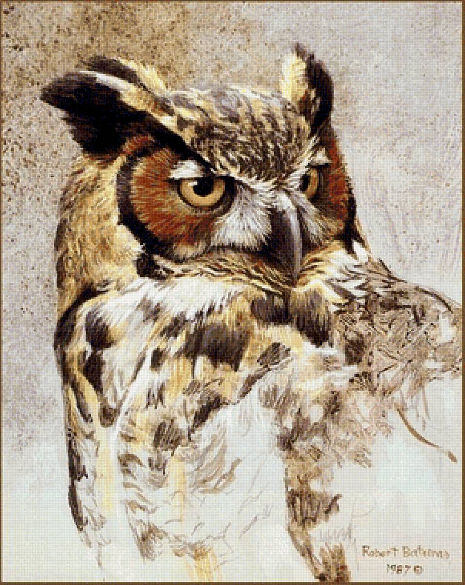 сова - предпросмотр