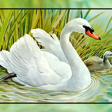 Схема вышивки «Лебеди.»