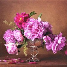 Схема вышивки «ПИОНЫ»