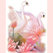 Схема вышивки «Лебединая пара.»