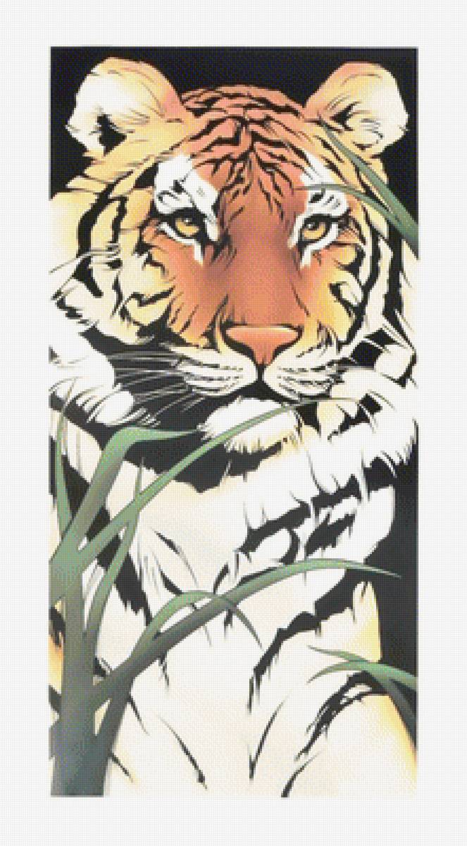 №1938708 - тигр, хищники, тигры, животные - предпросмотр