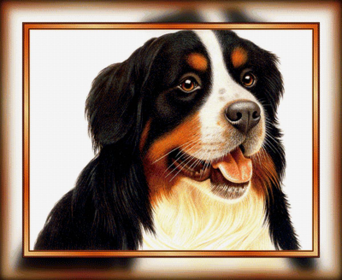 №1938720 - собаки, животные - предпросмотр