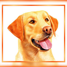 Схема вышивки «№1938729»