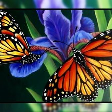 Схема вышивки «Бабочки.»