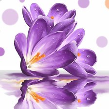 Схема вышивки «№1938856»