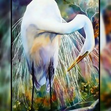 Схема вышивки «Белая цапля.»