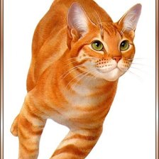 Схема вышивки «рыжий кот»