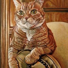 Схема вышивки «кот»