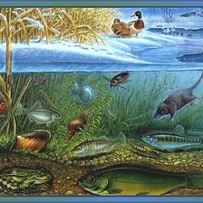 Схема вышивки «мир животных»