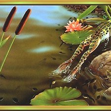 Схема вышивки «лягушки»