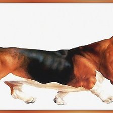 Схема вышивки «собака»