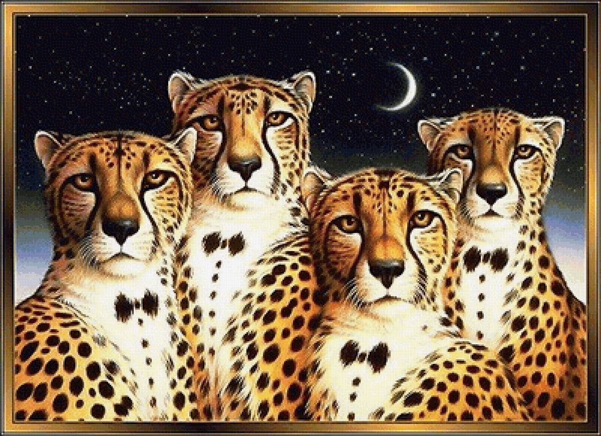 мир животных - мир животных - предпросмотр