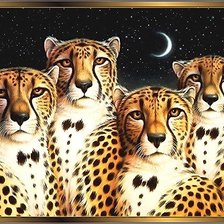 Схема вышивки «мир животных»