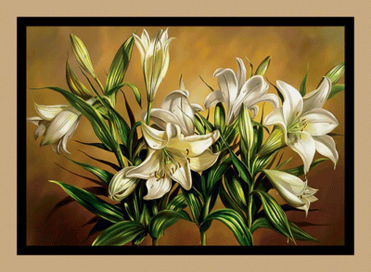 Белые лилии. - цветы, букет., лилии, белые - предпросмотр