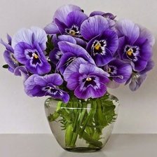 Схема вышивки «цветы»