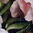 Предпросмотр схемы вышивки «пионы» (№1939062)