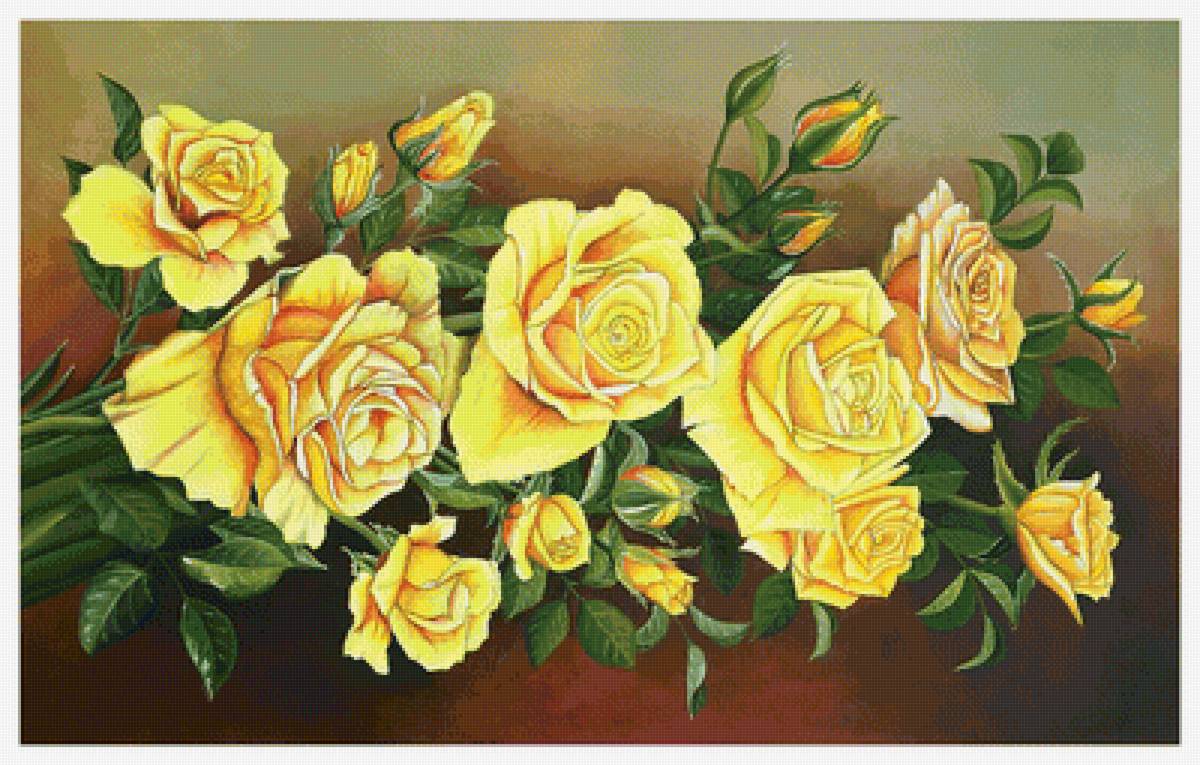 Серия "Розы". - цветы, флора, розы - предпросмотр