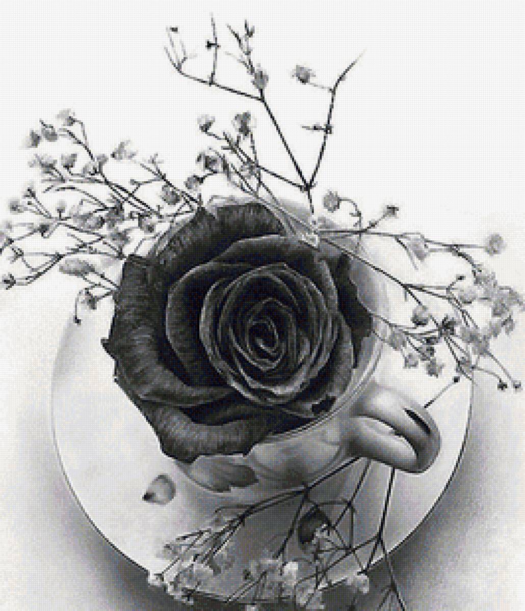 роза - предпросмотр