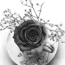 Схема вышивки «роза»