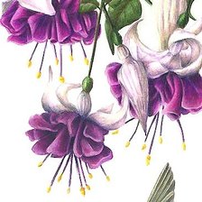 Схема вышивки «рисунок»