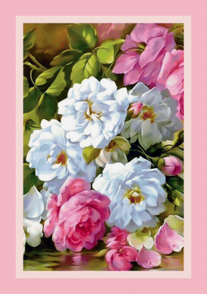 Нежные розы. - розы, цветы. - предпросмотр