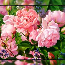 Схема вышивки «Розовые пионы.»