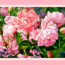 Схема вышивки «Розовые пионы2.»