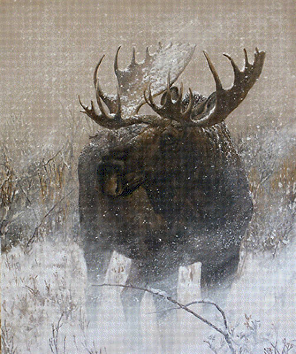 Charity Dakin - предпросмотр