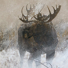 Схема вышивки «Charity Dakin»