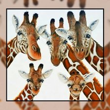 Схема вышивки «Жирафы2.»