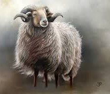 Схема вышивки «barany»