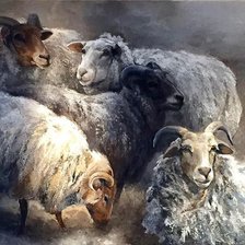 Схема вышивки «barany»