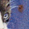 Предпросмотр схемы вышивки «Кошка» (№1939310)