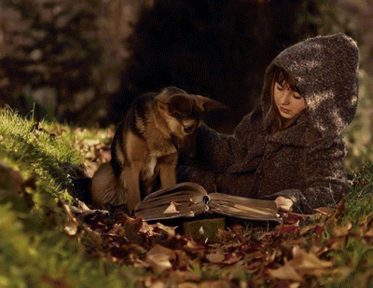 СЮЖЕТ - предпросмотр