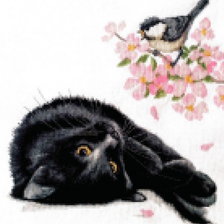 Схема вышивки «Кот и синичка»