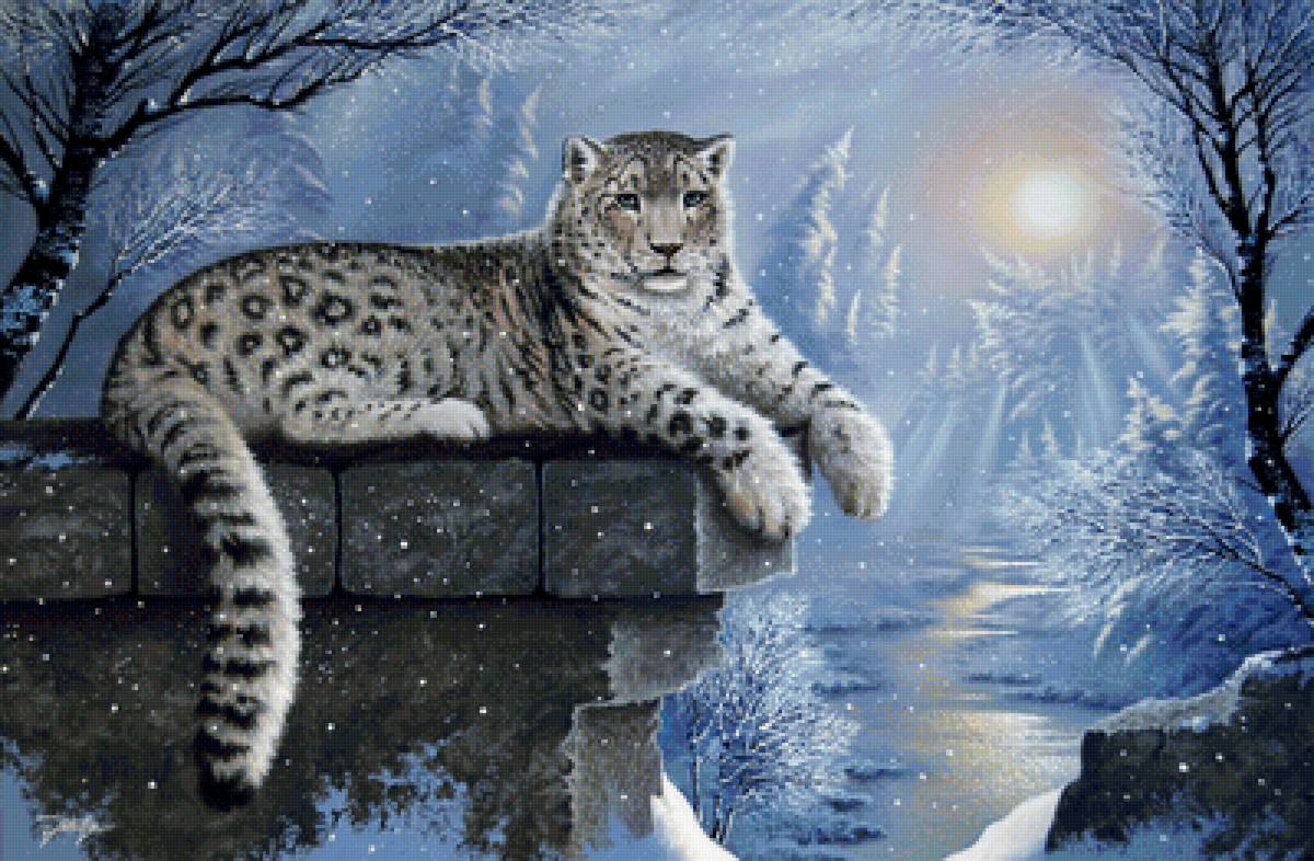 Мир животных - предпросмотр