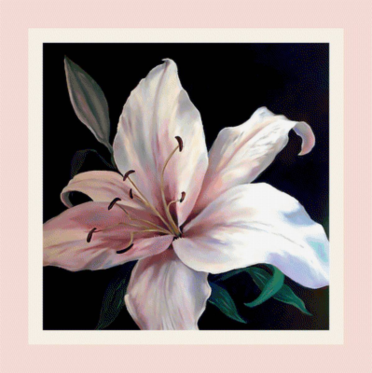 LIRIO BLANCO - 399 x 400 cruces - предпросмотр