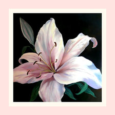 Схема вышивки «LIRIO BLANCO»