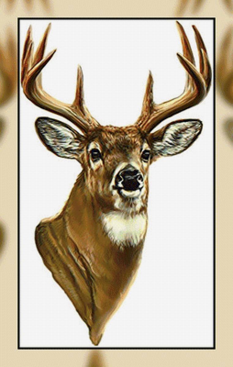 Олень2. - олень, животные. - предпросмотр