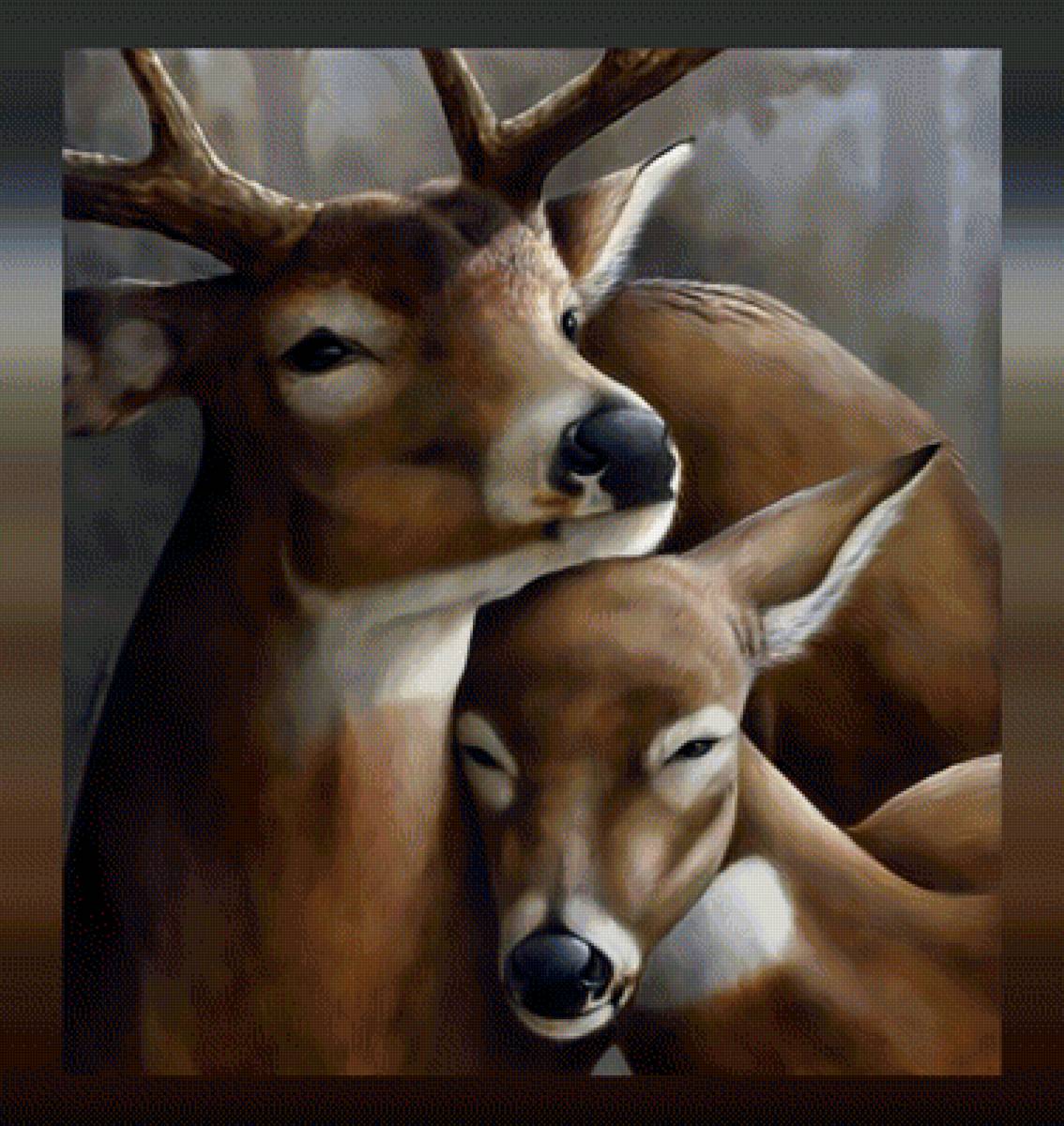 Олени. - животные., олени - предпросмотр