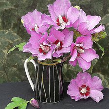 Схема вышивки «№1939736»