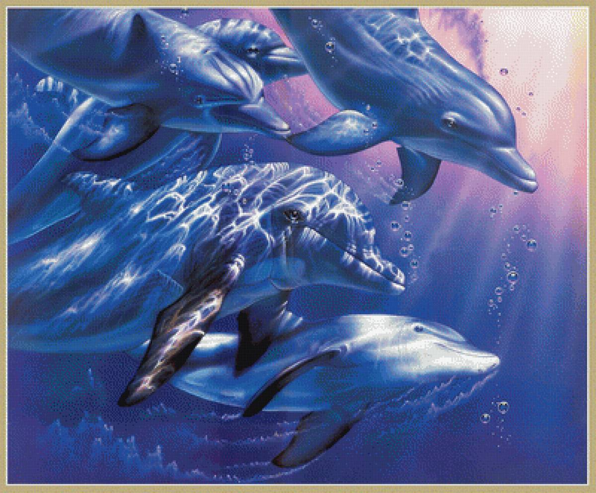 №1939844 - животные, дельфины - предпросмотр